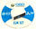 ELM327 Wi-Fi (IPad, IPhone)
